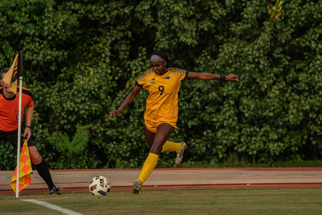 WSOC Recap M2