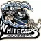 Minnesota Whitecaps