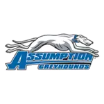 Assumption College