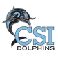 College of Staten Island Logo