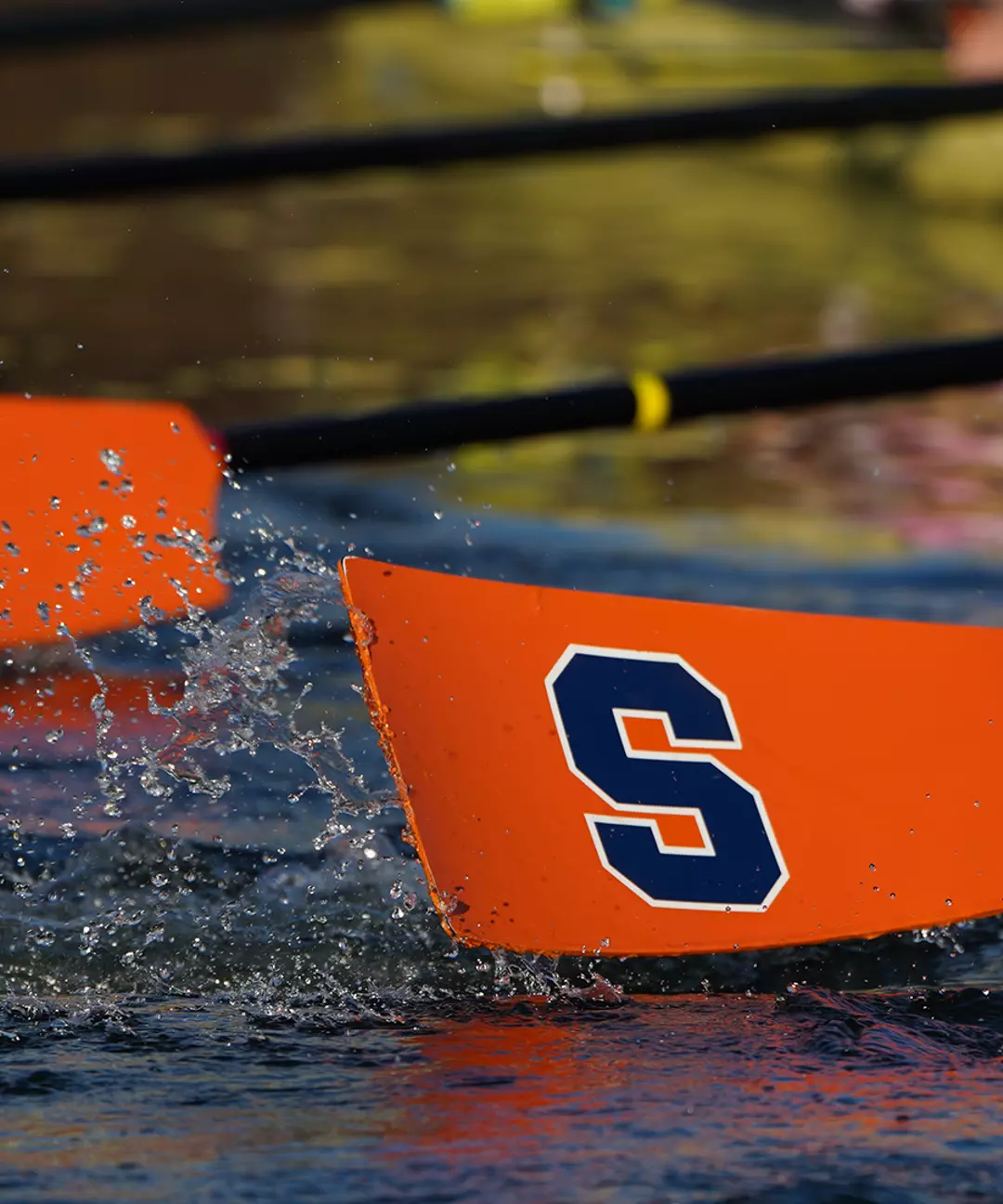WROW World Rowing Release