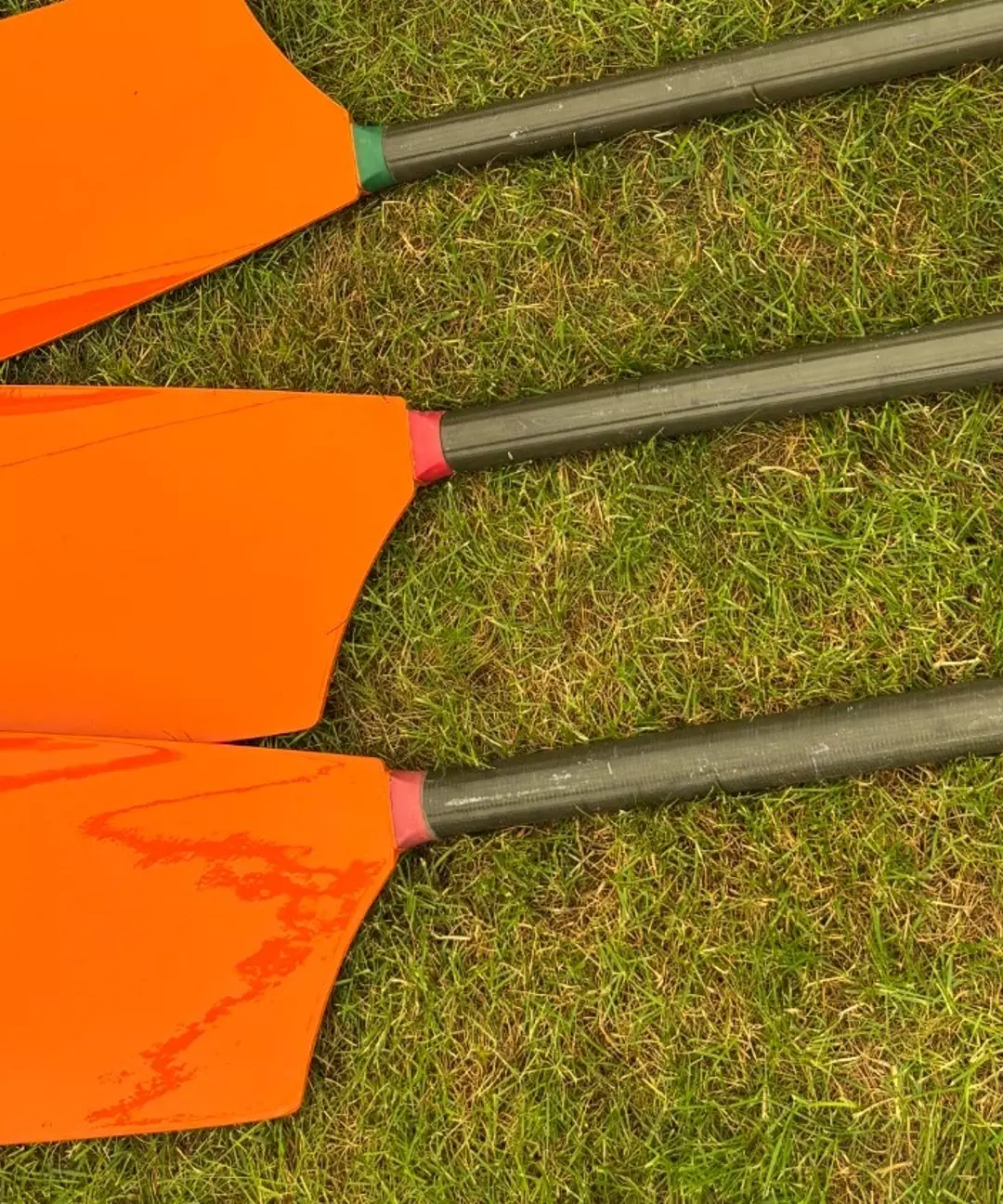 Syracuse Men's Rowing Oars