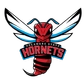 Delaware State University Logo