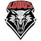 University of New Mexico Logo