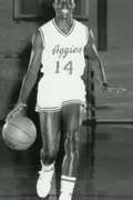 Lisa Langston