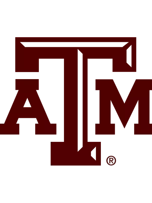Generic Maroon Logo Transparent