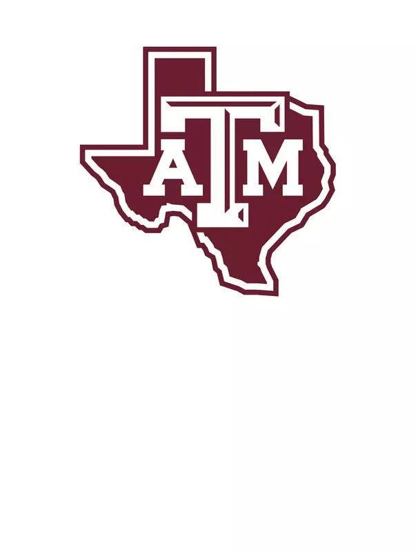 Generic Headshot Logo Maroon