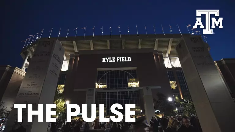 The Pulse Episode 11