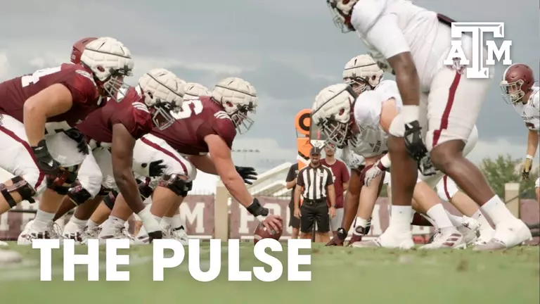 The Pulse Season 6 Episode 5 Thumbnail