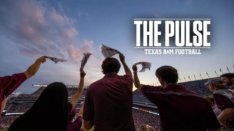 The Pulse Episode 8.5 Thumbnail