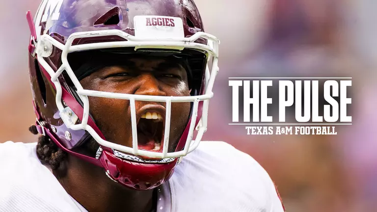 The Pulse Episode 8.2 Thumbnail