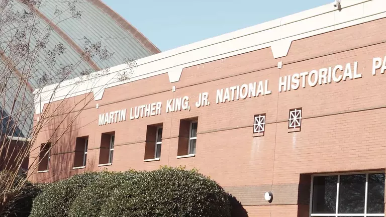 Swimming MLK NHP Visit
