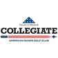 Folds of Honor Collegiate - Opponent Logo