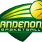 dandenong logo