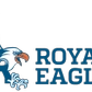 fsg academy logo