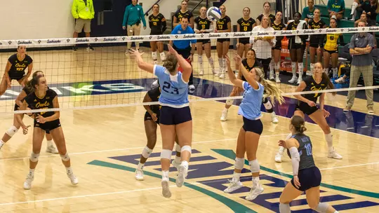 VB Preview Pic