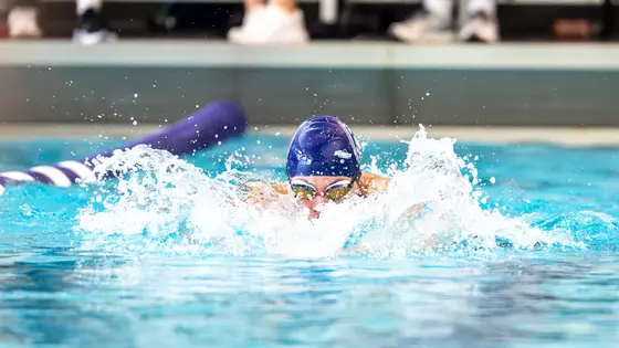 gothardswim
