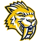 Maranatha Baptist University Logo