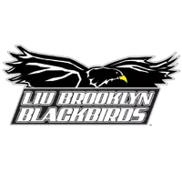 LIU Brooklyn