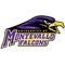 University of Montevallo Logo