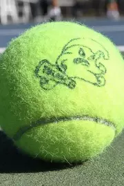 Goldring Tennis Center Public Rentals