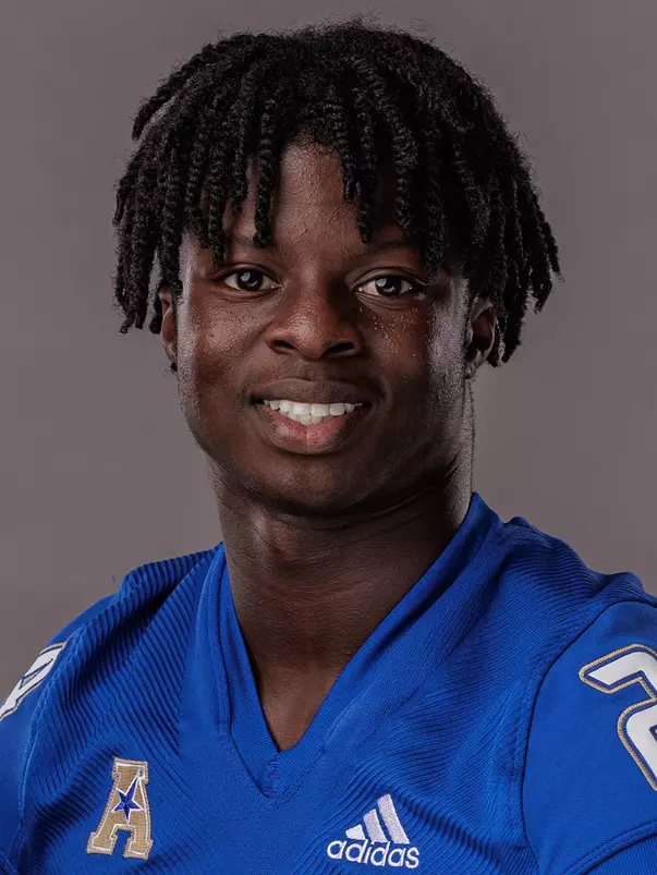 Matthew Ogunrin mug shot