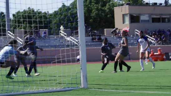 WSOC | Arkansas-Pine Bluff Highlights