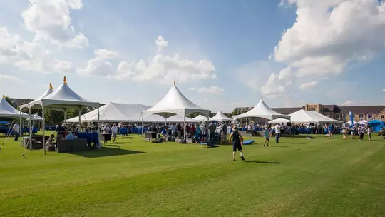 tailgate cover pic 2