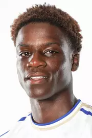 Nkansa-Dwamena, Nick