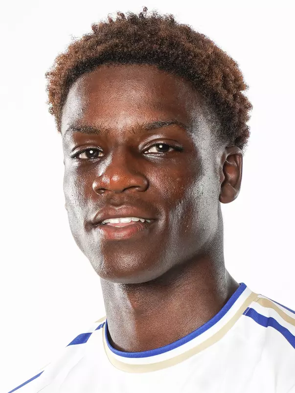 Nkansa-Dwamena, Nick