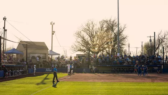 Collins Family Softball Complex at sunset