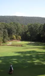 Men's Golf Opens Fall Season At Topy Cup