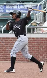 Former Blazers In Professional Baseball