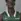 Gueye, Makhtar