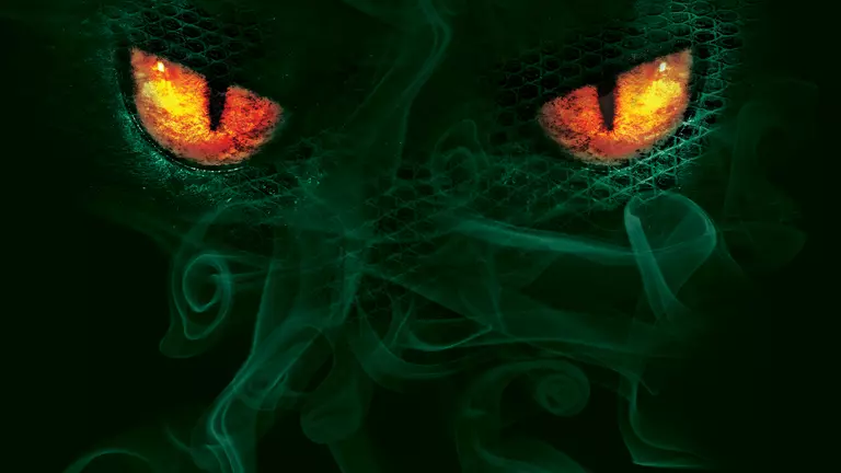 Win Championships, Graduate with Honors, Make a Difference