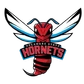Delaware State University Logo