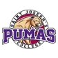 Saint Joseph's College (Ind.) Logo