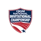 NIC Logo