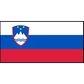 Slovenia Logo