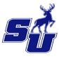 Stanton University Logo