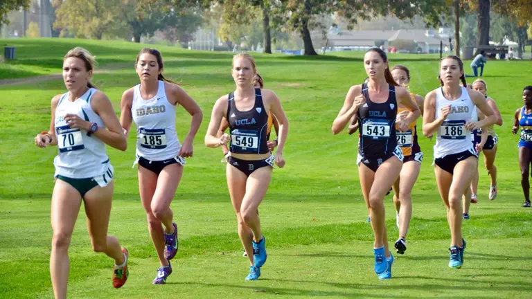 Cross Country Looks for Strong Finish at NCAA Championships