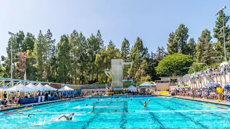 MPSF Postpones Men's Water Polo Season