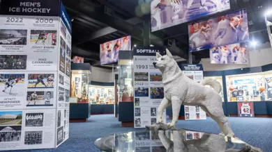 Husky Heritage Sports Museum Open Saturday June 13
