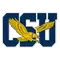Coppin State University Logo