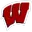 Wisconsin Logo
