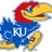 Sunflower Showdown