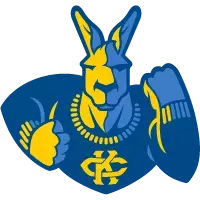 Team Logo