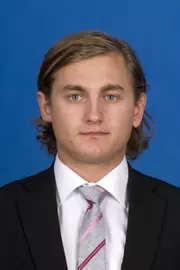 Leidermark