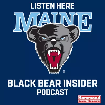 Podcast Image