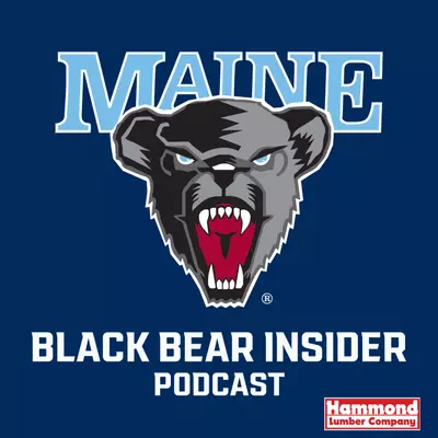 Podcast Image